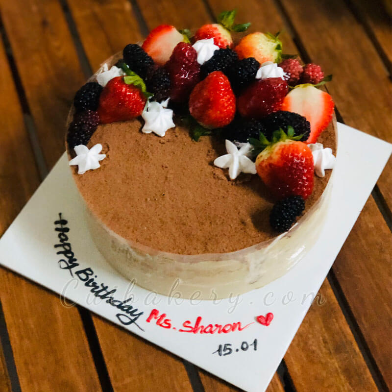 Mẫu Tiramisu - MTS019