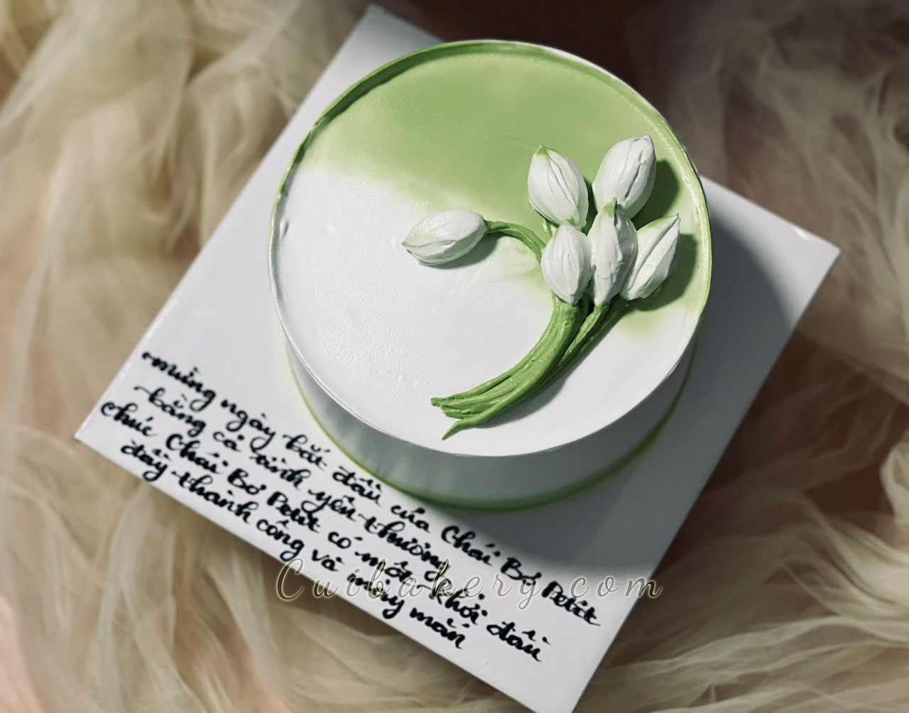 Mẫu Bánh Kem sữa tươi - MST255