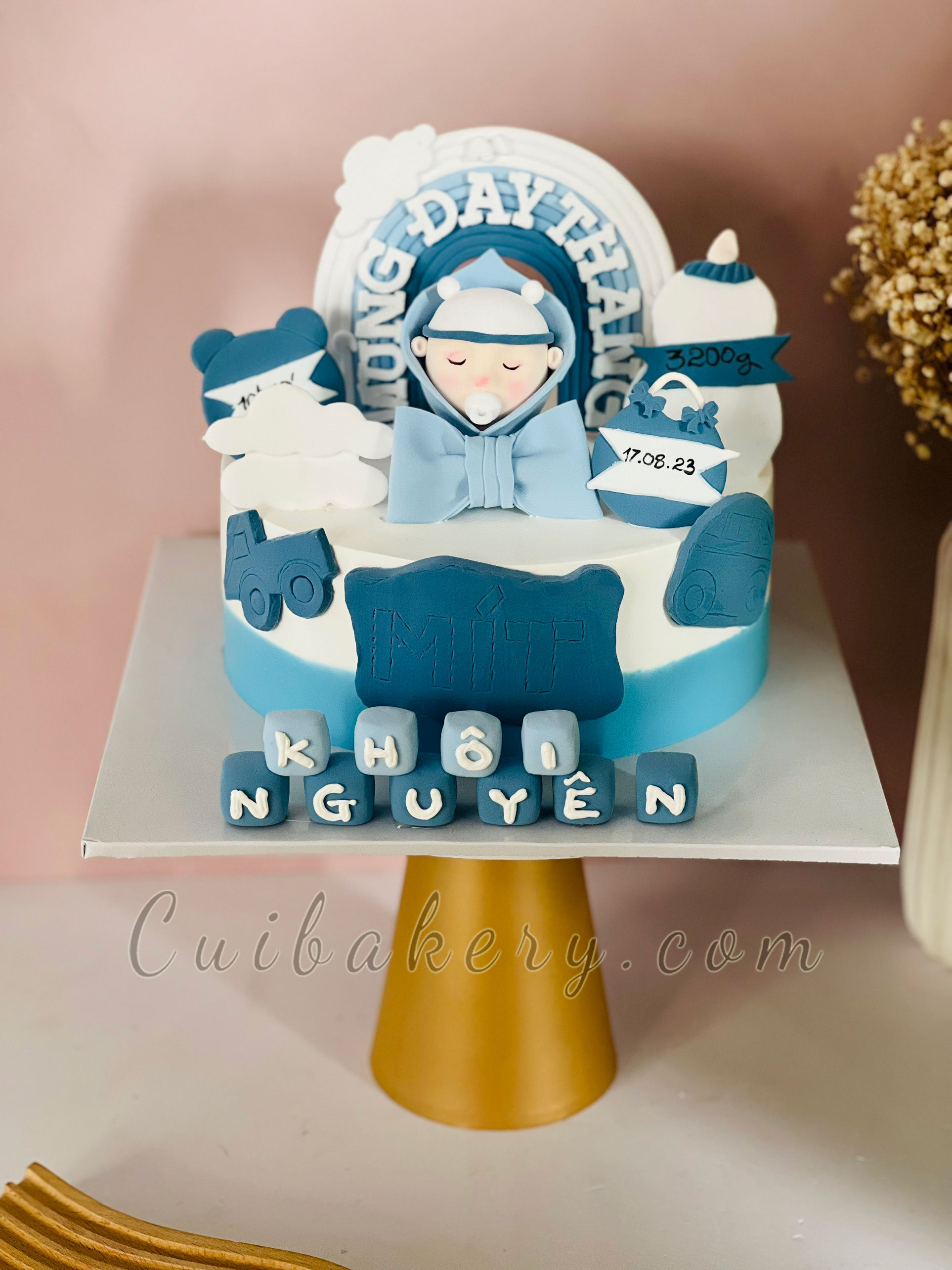 Mẫu Bánh Fondant, Đất Sét - MFT054